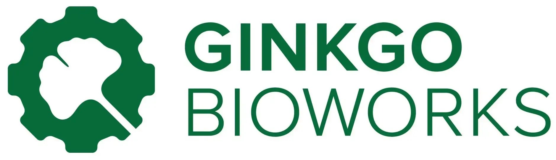 Ginkgo-Logo