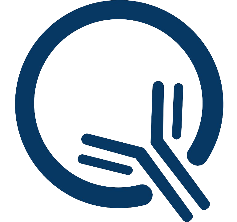 Q Logo webp